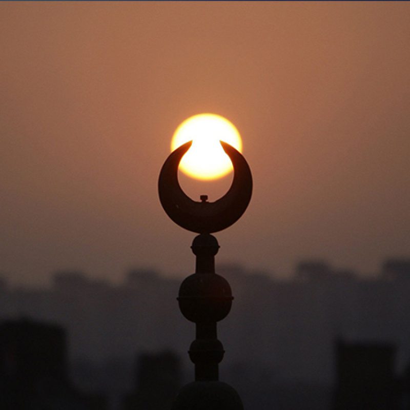 السيد الشيخ محمد غريب الله