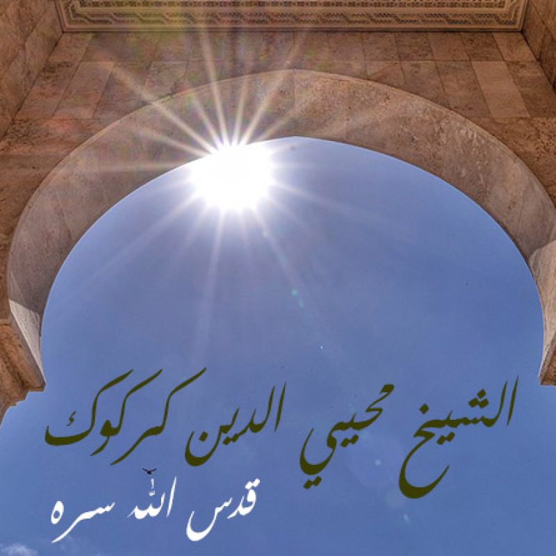 الشيخ محيي الدين كركوك